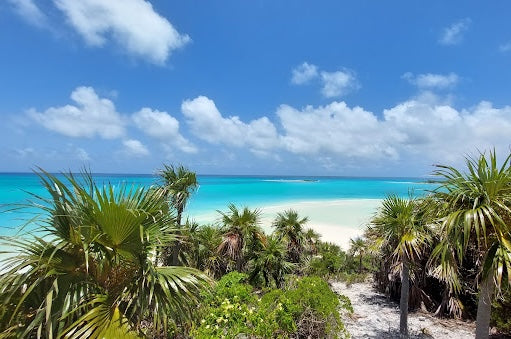 Sandy path through palms leading to a white sand beach and turquoise water at Shroud Cay, Exumas.